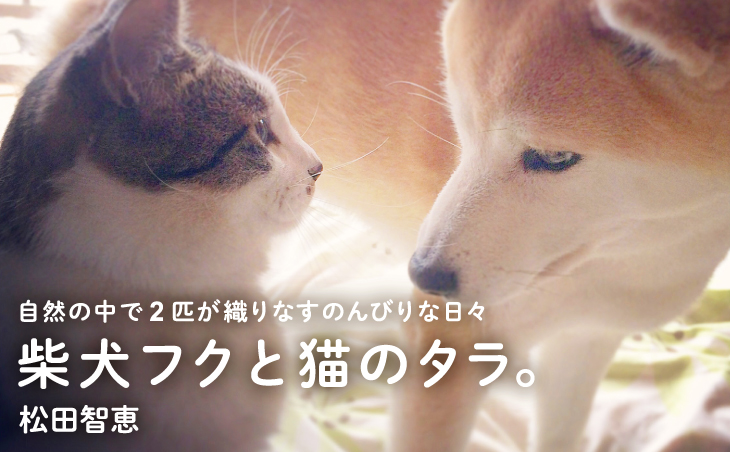 柴犬フクと猫のタラ。　自然の中で2匹が織りなす のんびりな日々 　松田智恵